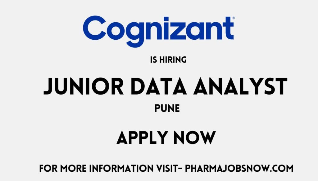 Junior Data Analyst